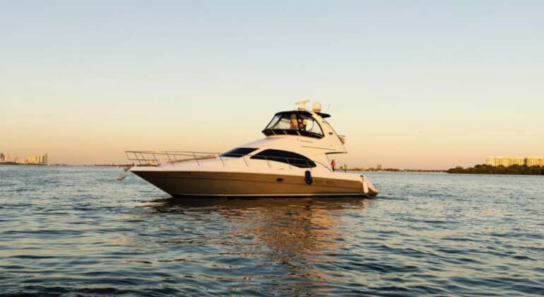 50′ Sea Ray “Rose”